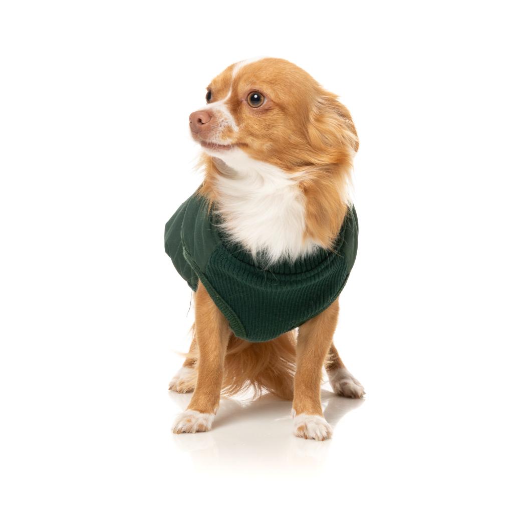 East Macgyver Jacket Green