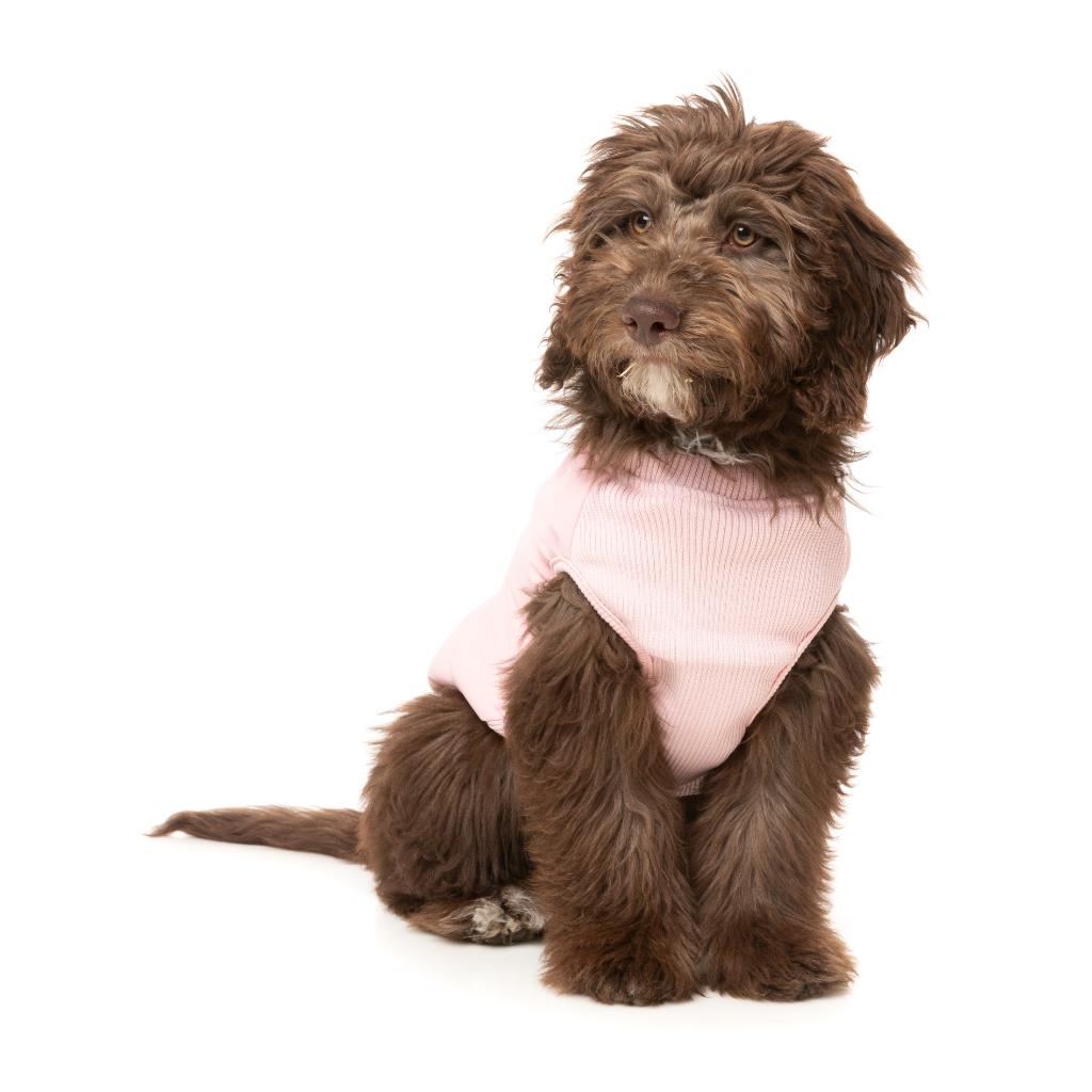 East Macgyver Jacke Rosa