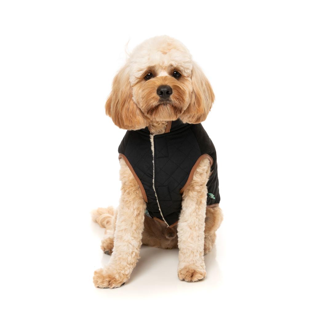 Ivanhoe Jacket Black