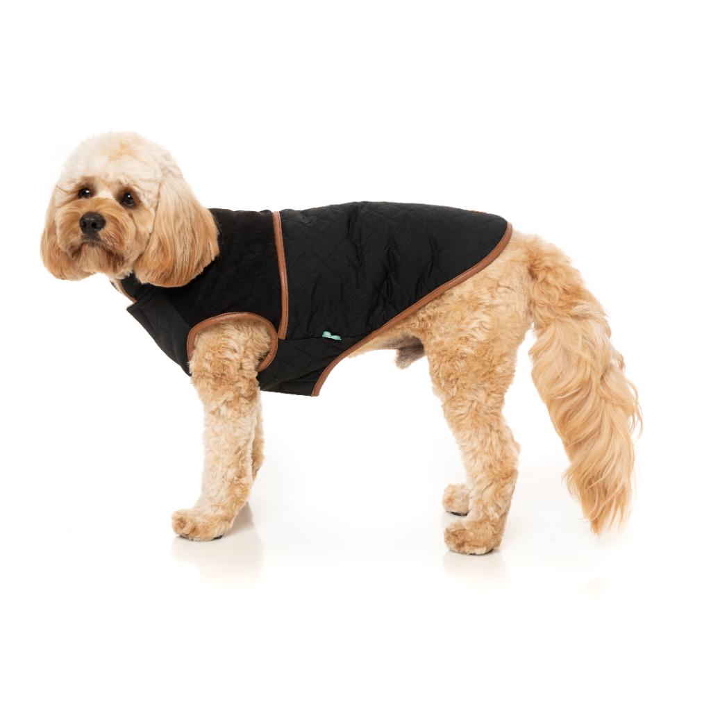 Ivanhoe Jacket Black