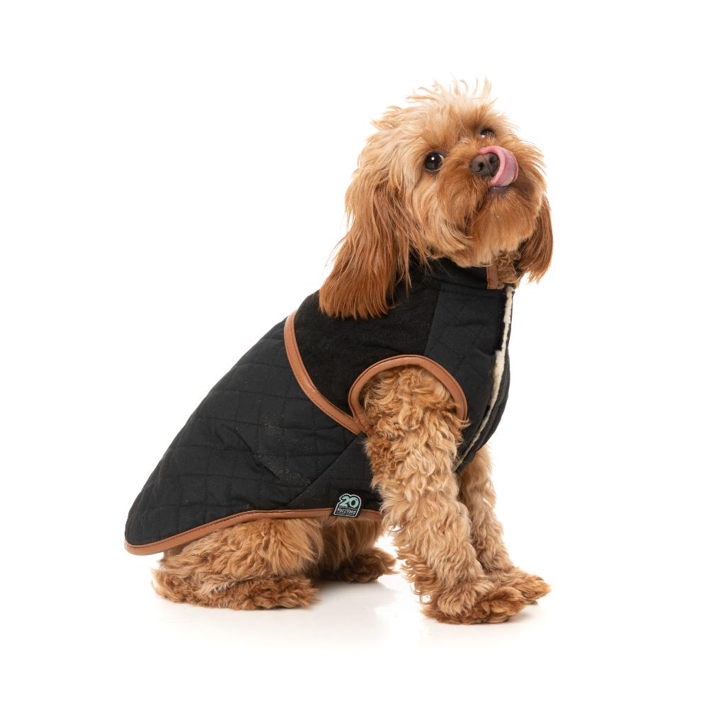 Ivanhoe Jacket Black