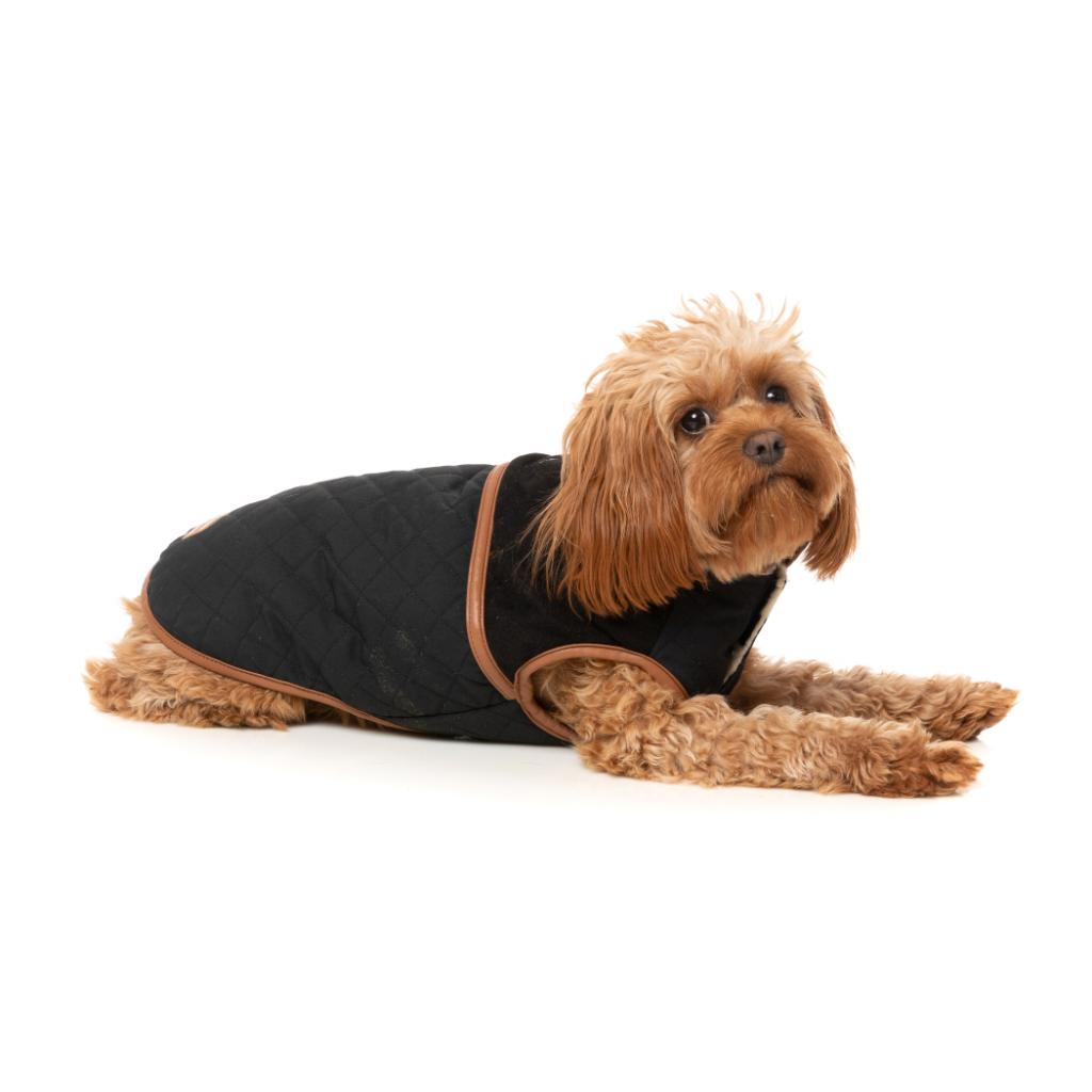 Ivanhoe Jacket Black