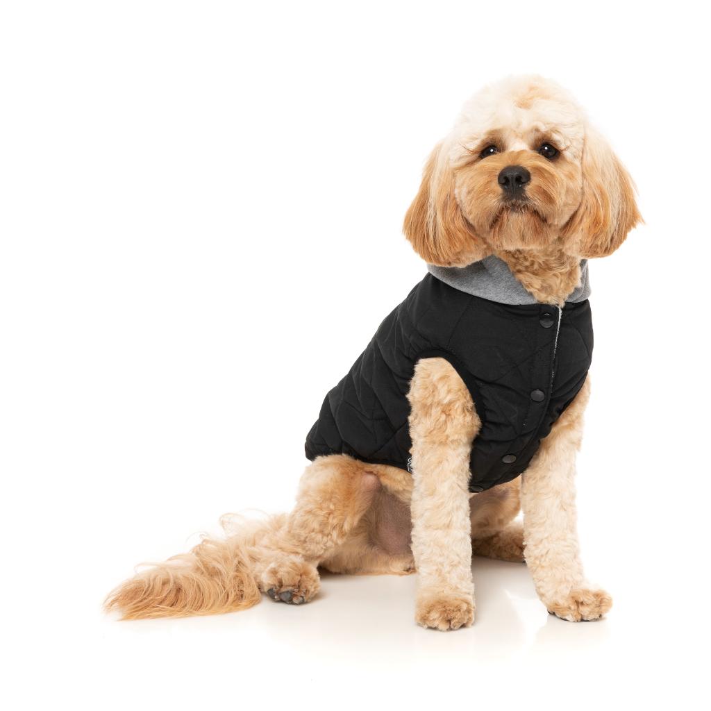 Cremorne Hoodie Black