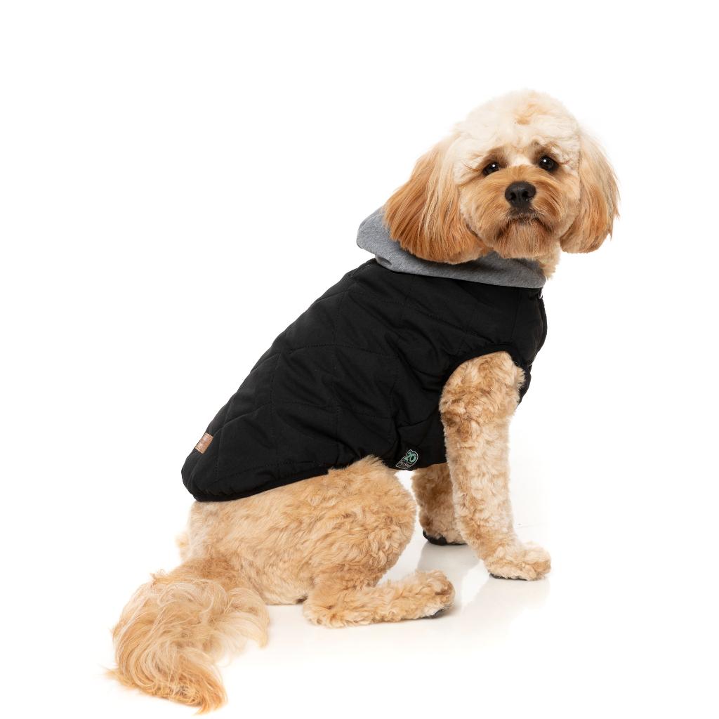 Cremorne Hoodie Black