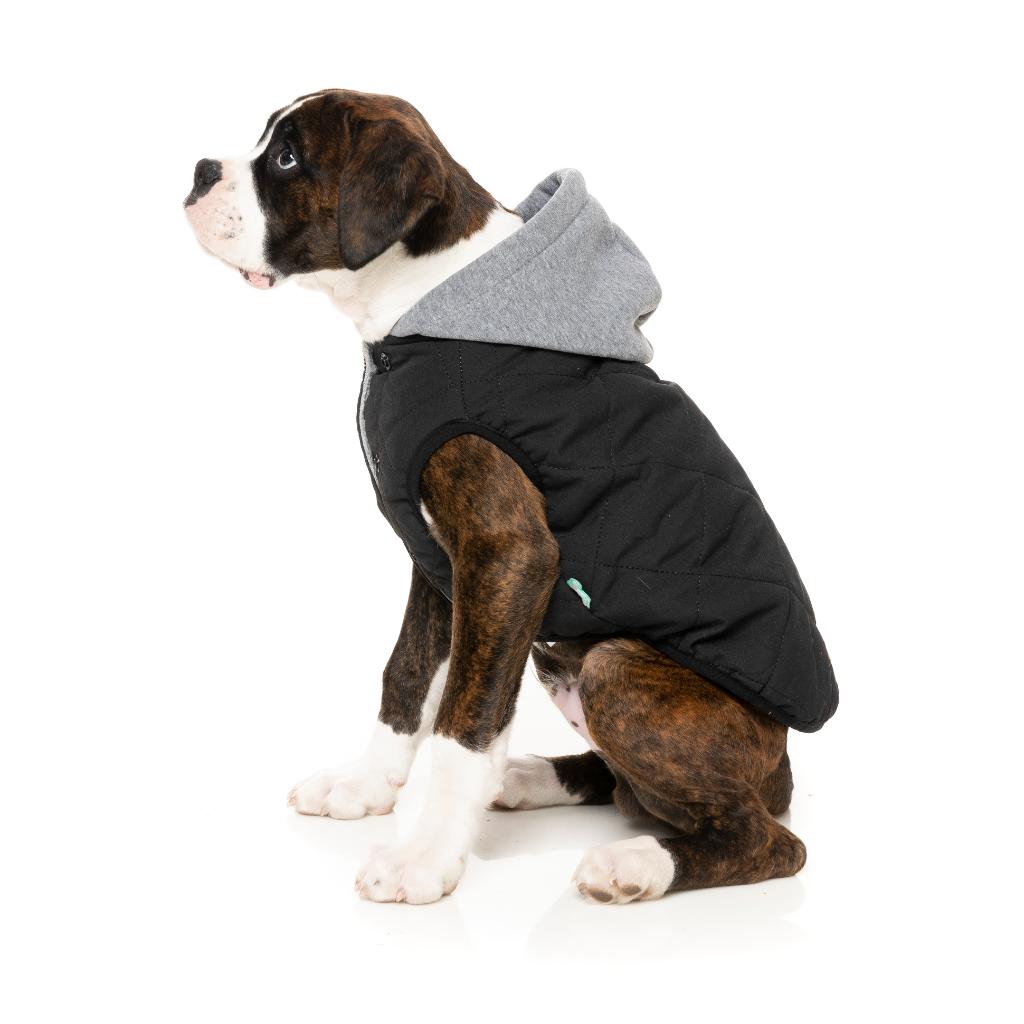 Cremorne Hoodie Black