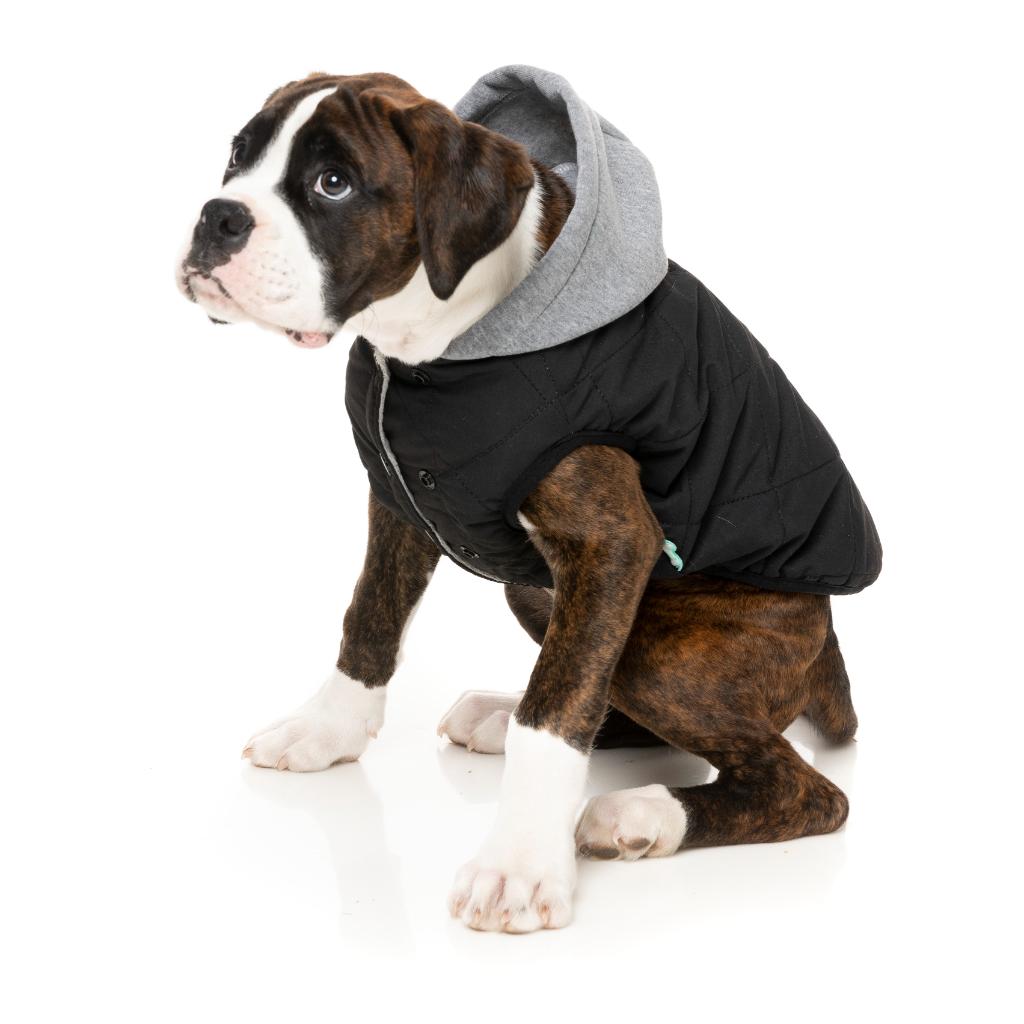 Cremorne Hoodie Black