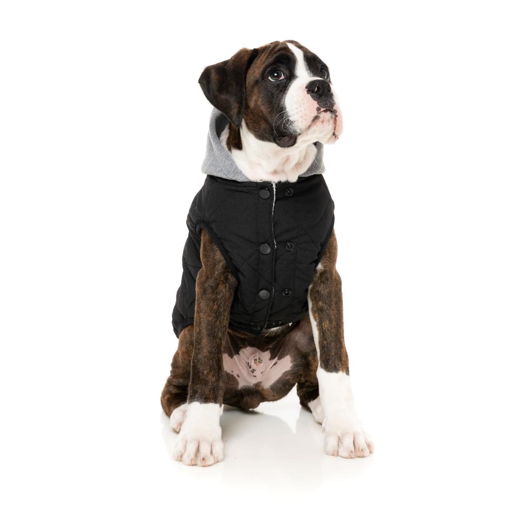 Cremorne Hoodie Black
