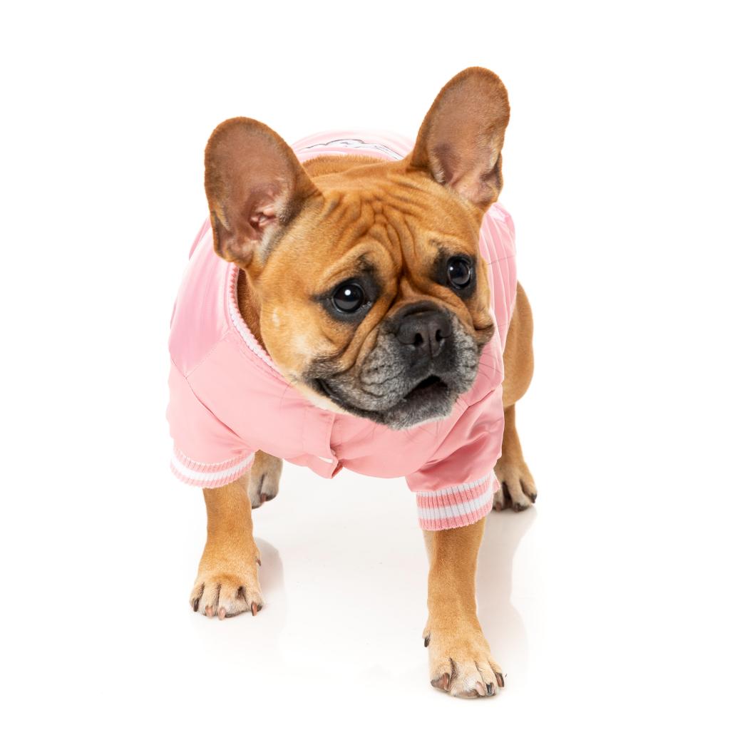 Fastball Jacke Rosa