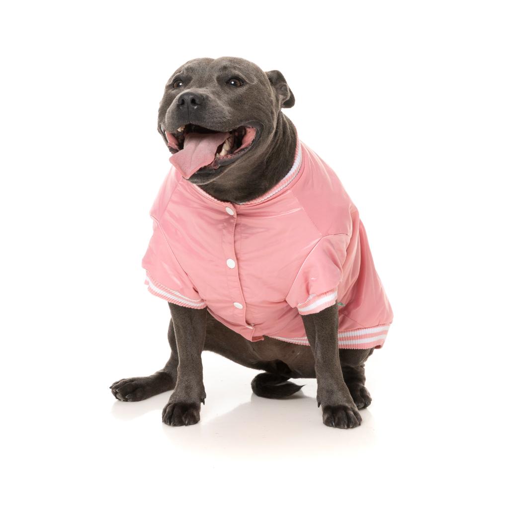 Fastball Jacke Rosa
