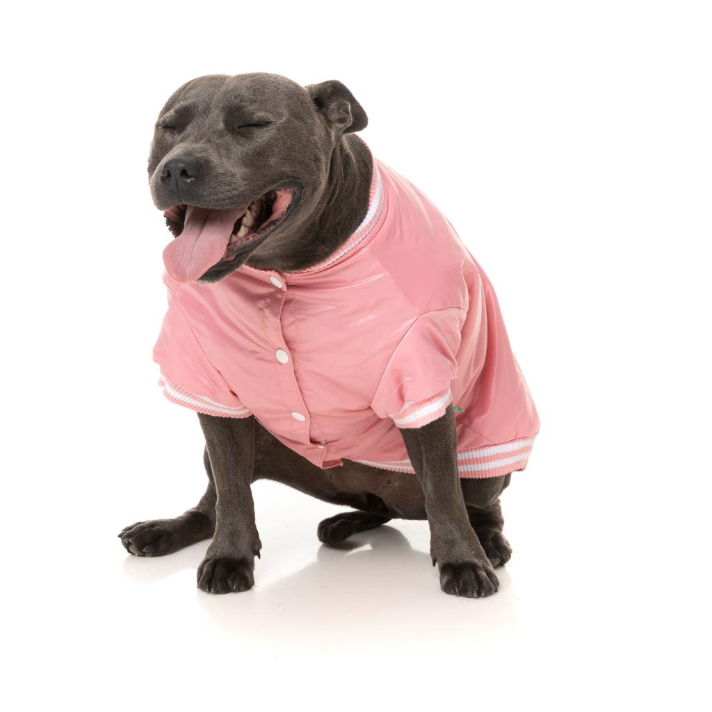 Fastball Jacke Rosa