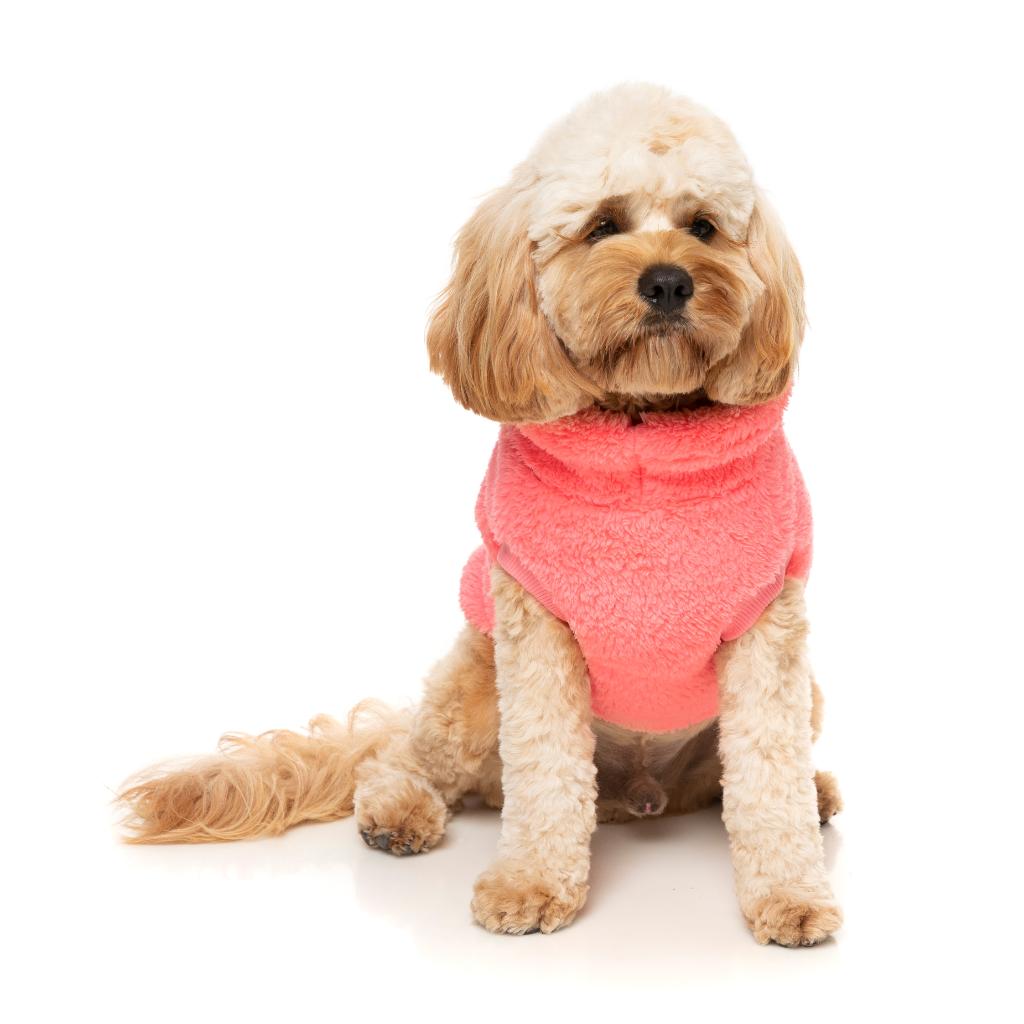 Turtle Teddy Peach