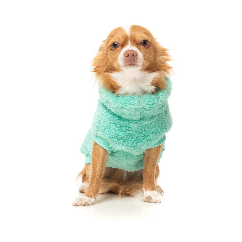 Turtle Teddy Teal