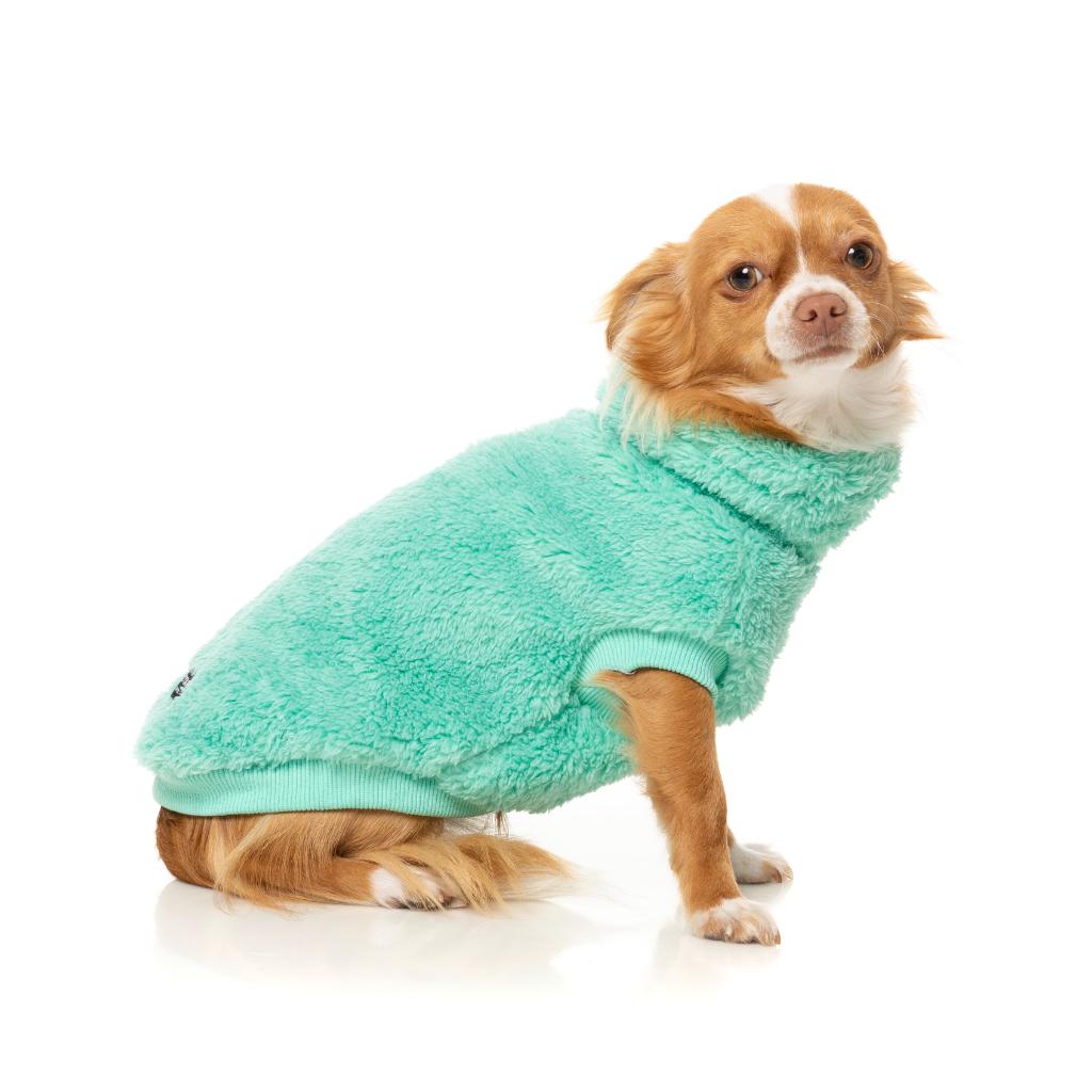 Turtle Teddy Teal
