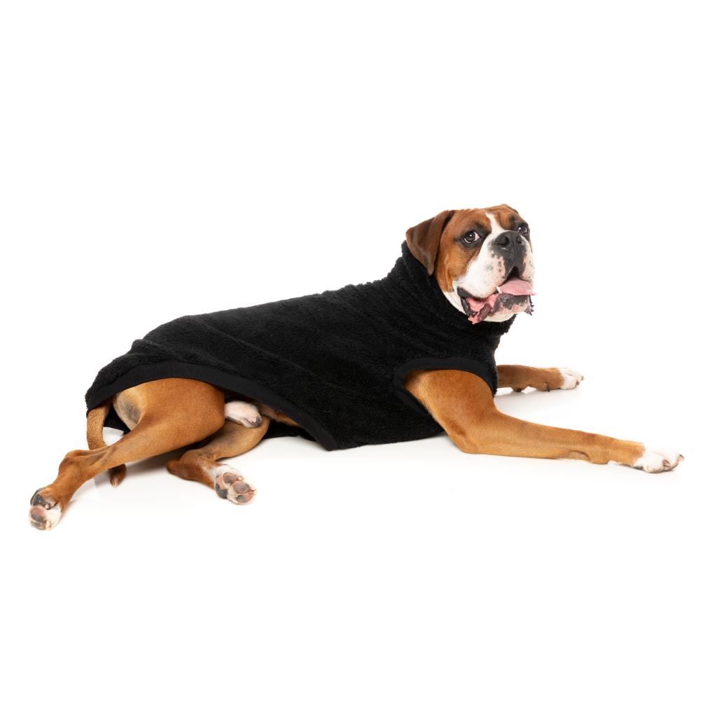 Turtle Teddy Black