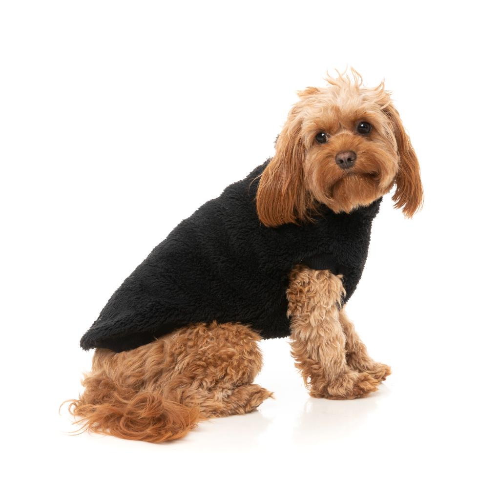 Turtle Teddy Black