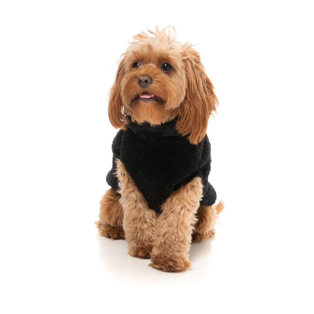 Turtle Teddy Black