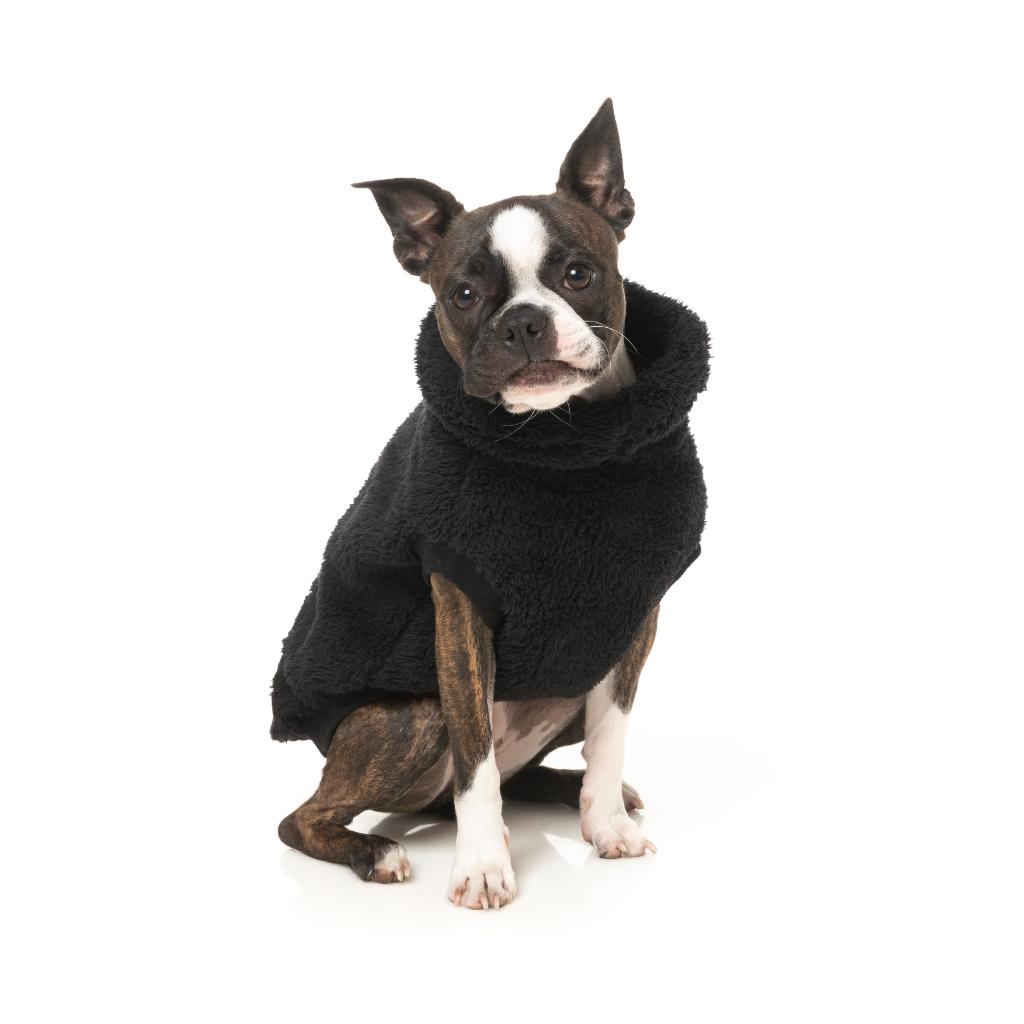 Turtle Teddy Black