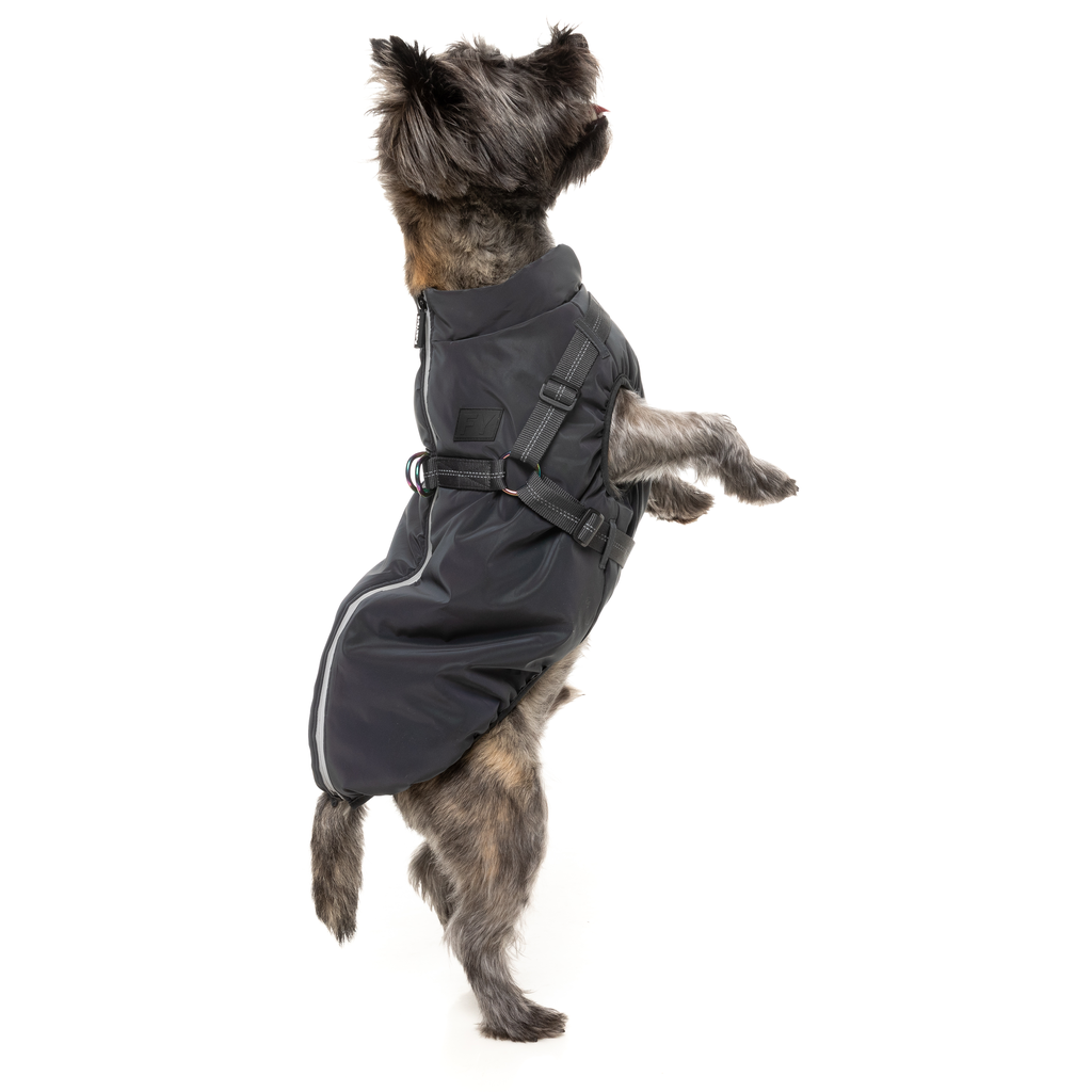Flash-Jacke – reflektierend