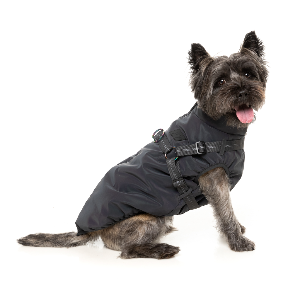 Flash-Jacke – reflektierend