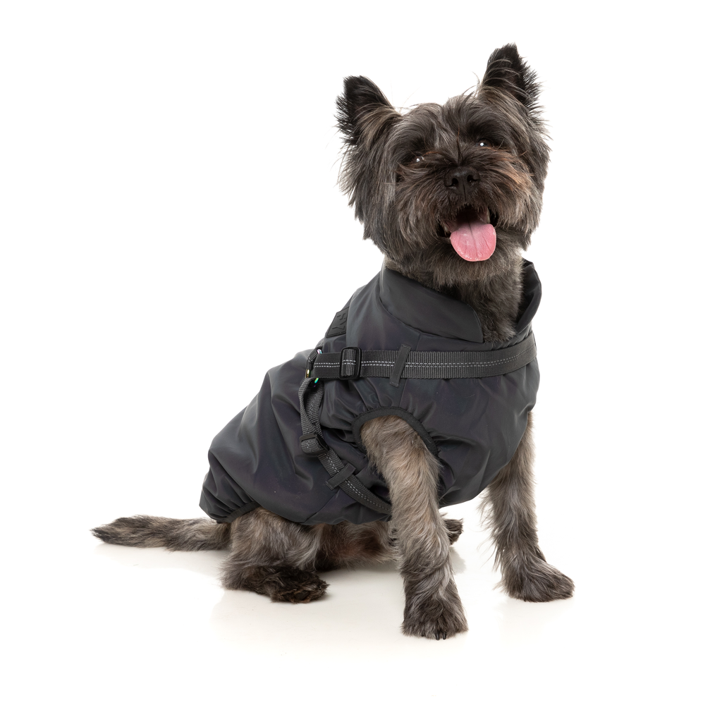 Flash-Jacke – reflektierend