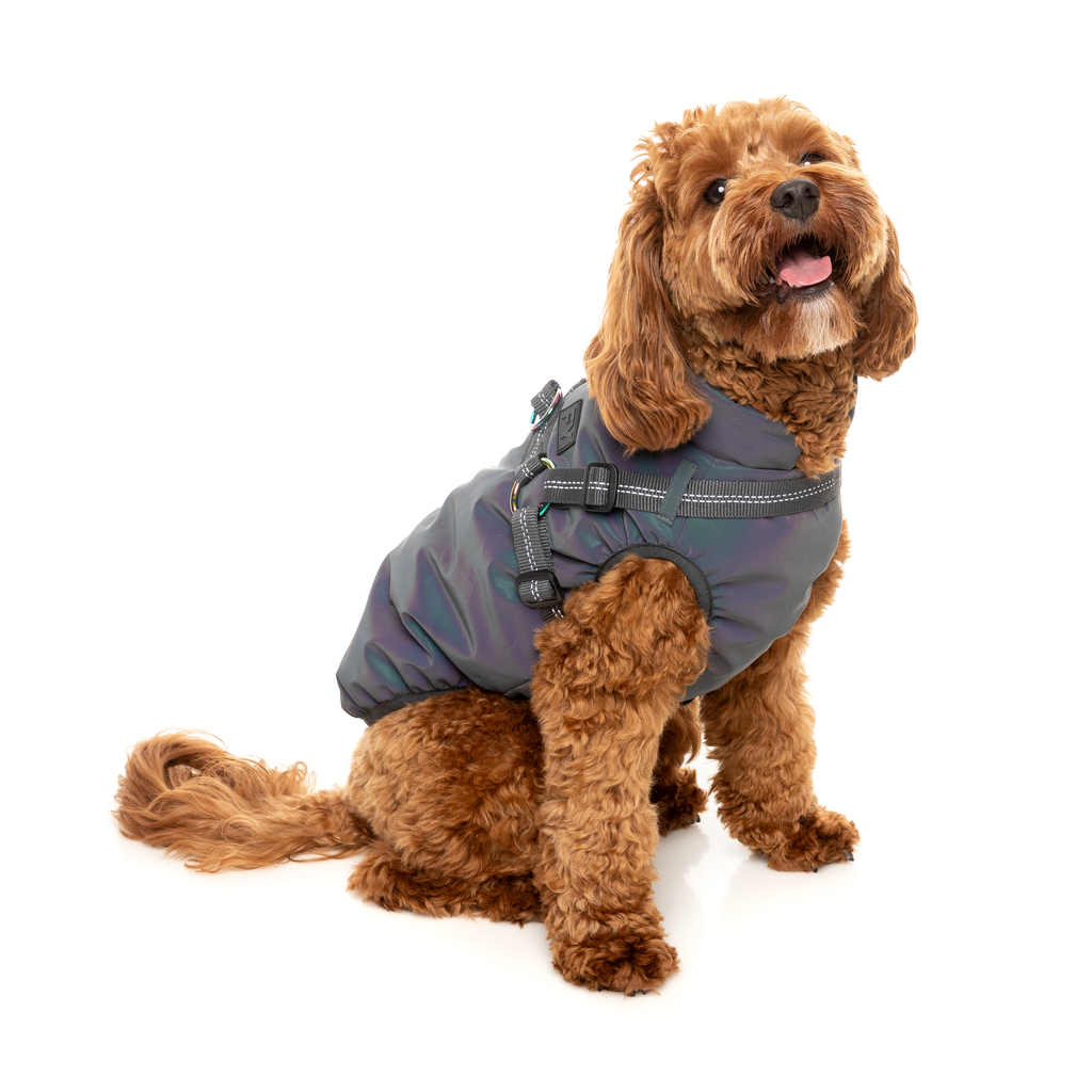 Flash-Jacke – reflektierend