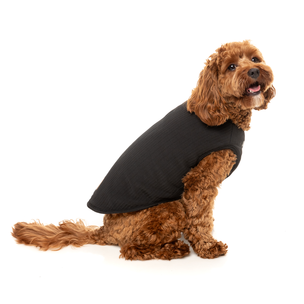 Umeda Jacket - Black