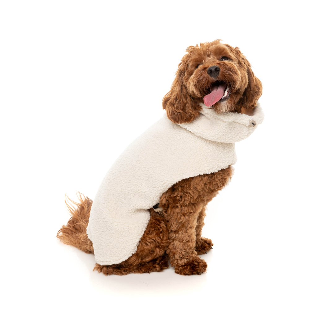 The Cosy Snood Coat - Eggshell