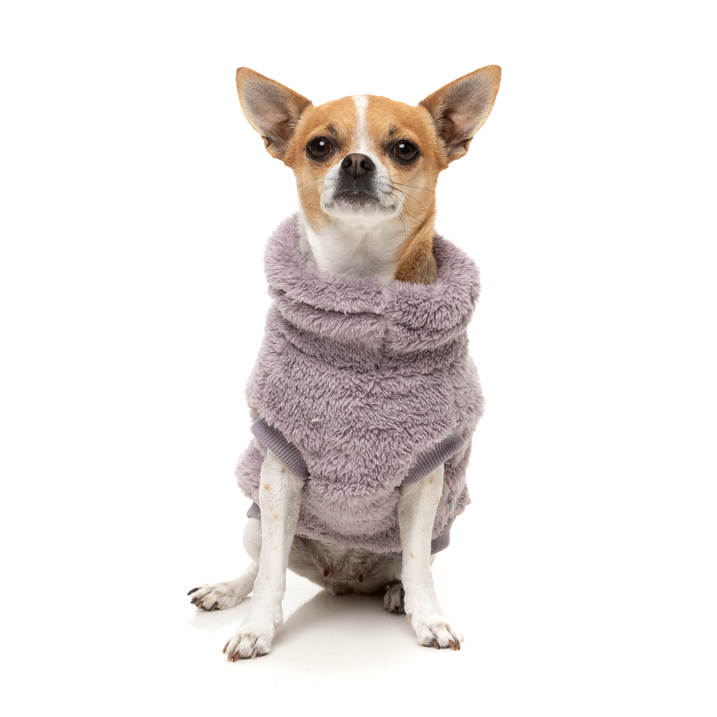 Turtle Teddy Sweater - Lavender