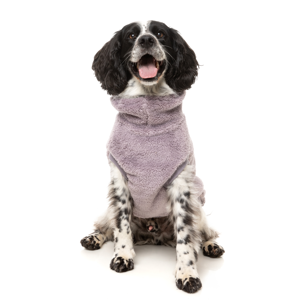 Turtle Teddy Sweater - Lavender