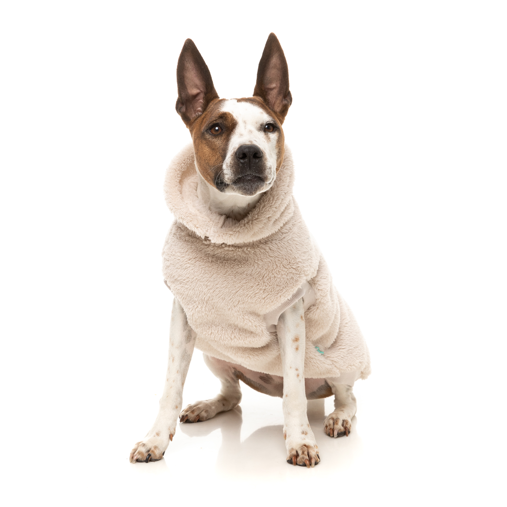 Turtle Teddy Sweater - Beige