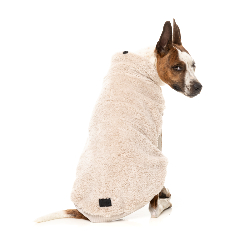 Turtle Teddy Sweater - Beige