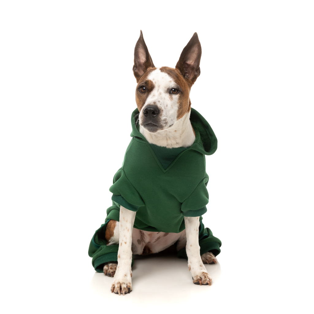 Urban Tracksuit - Green