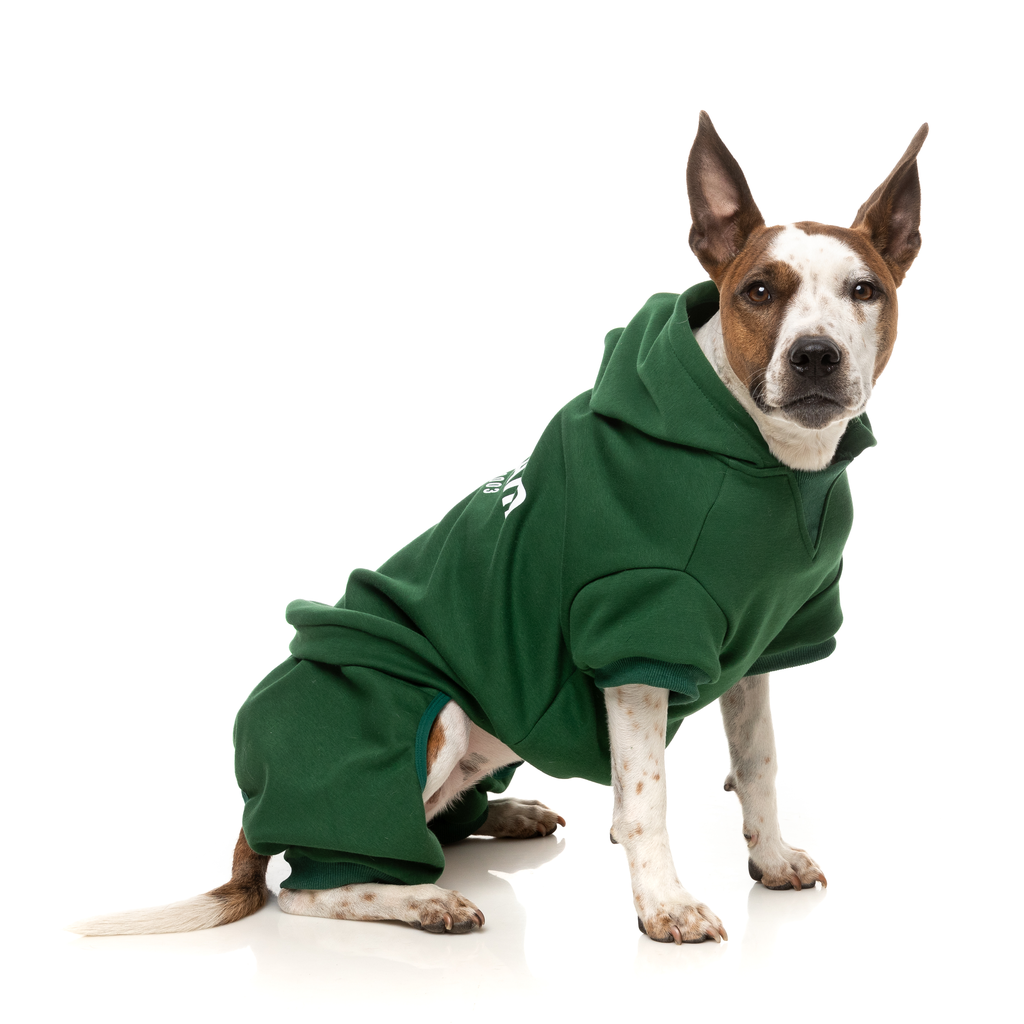 Urban Tracksuit - Green