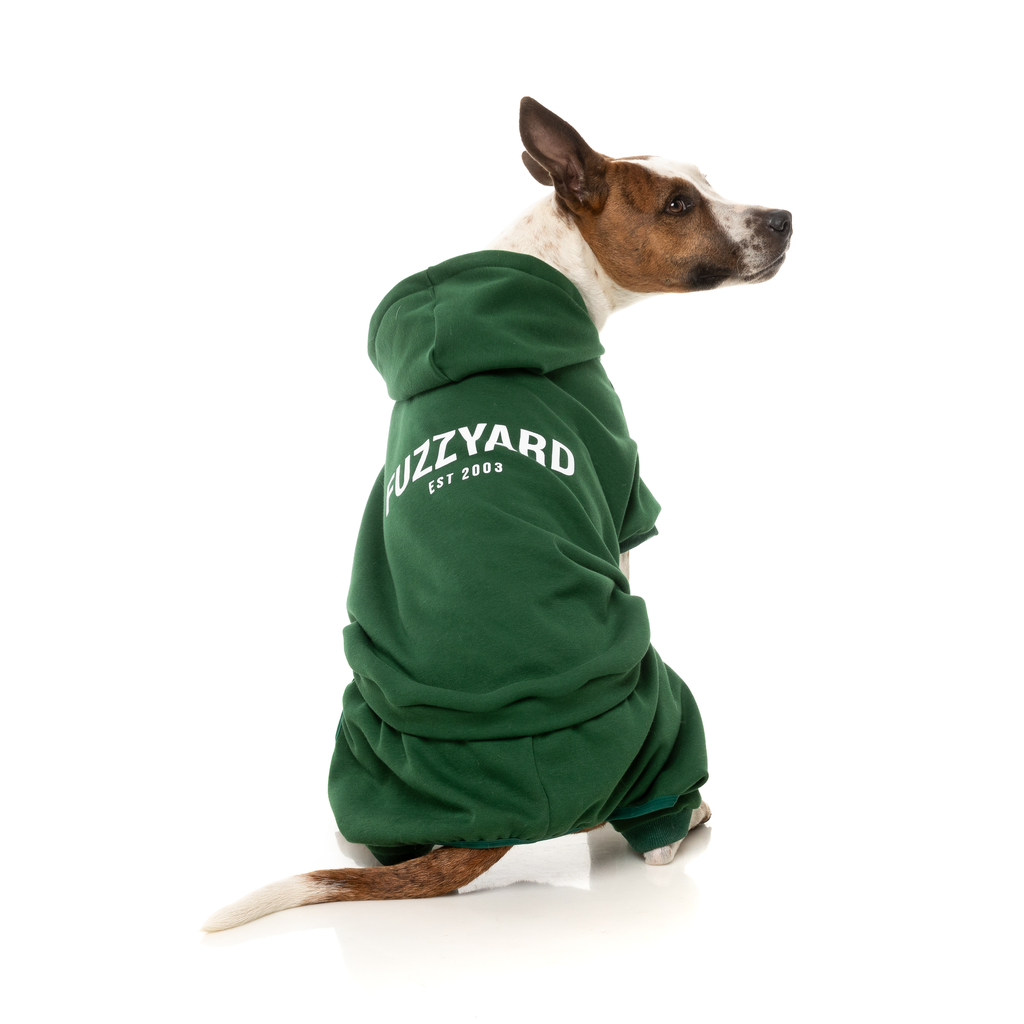 Urban Tracksuit - Green