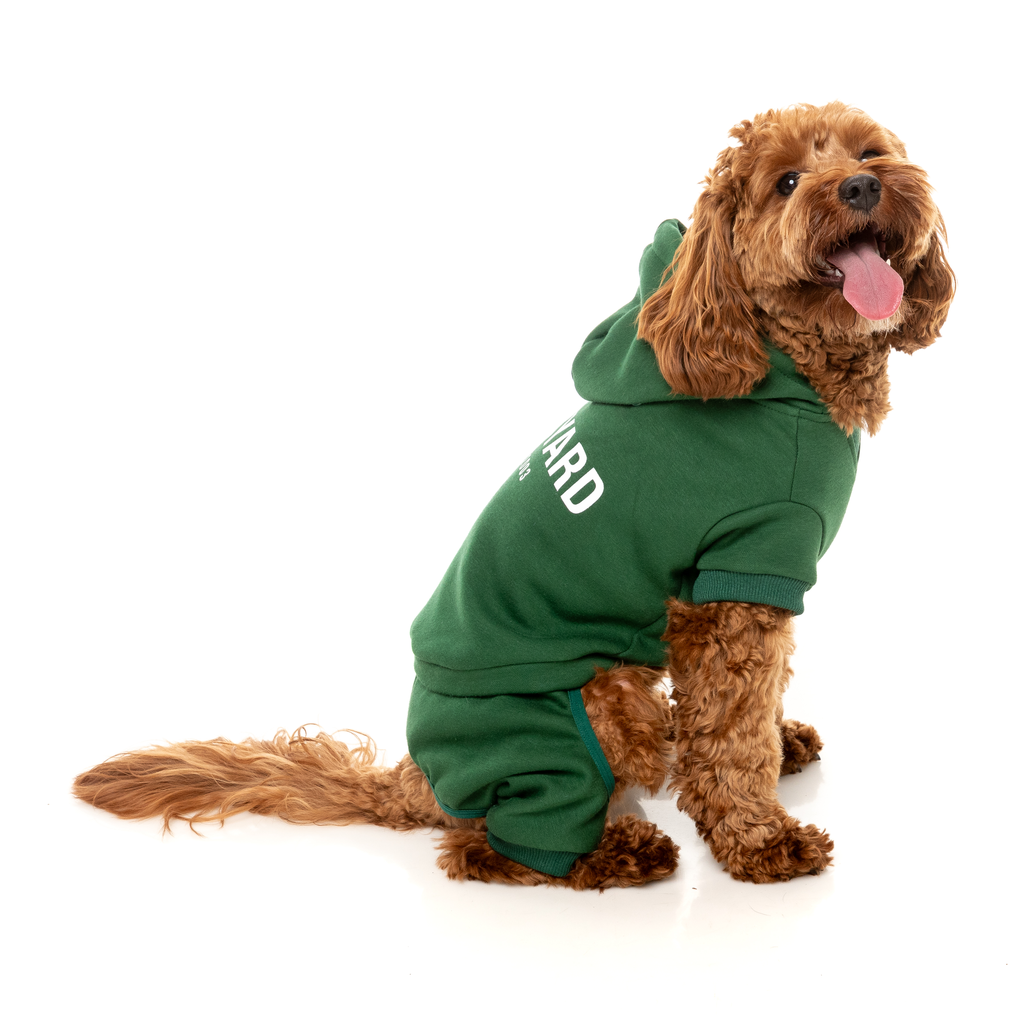 Urban Tracksuit - Green