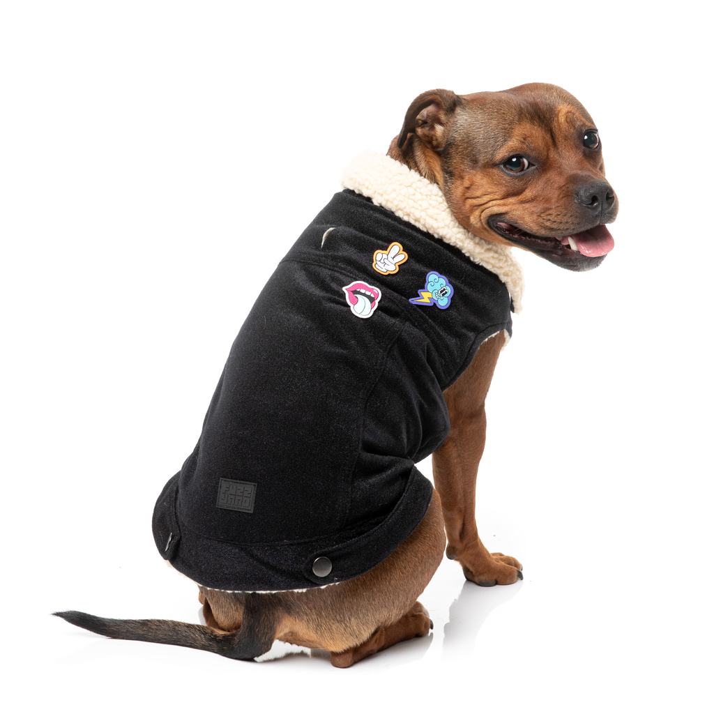 Rep It - Clubhouse Jacket