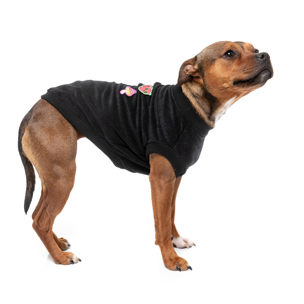 Rep It - Freshman Sweater