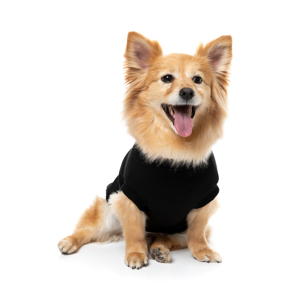 Allday Sweater - Black