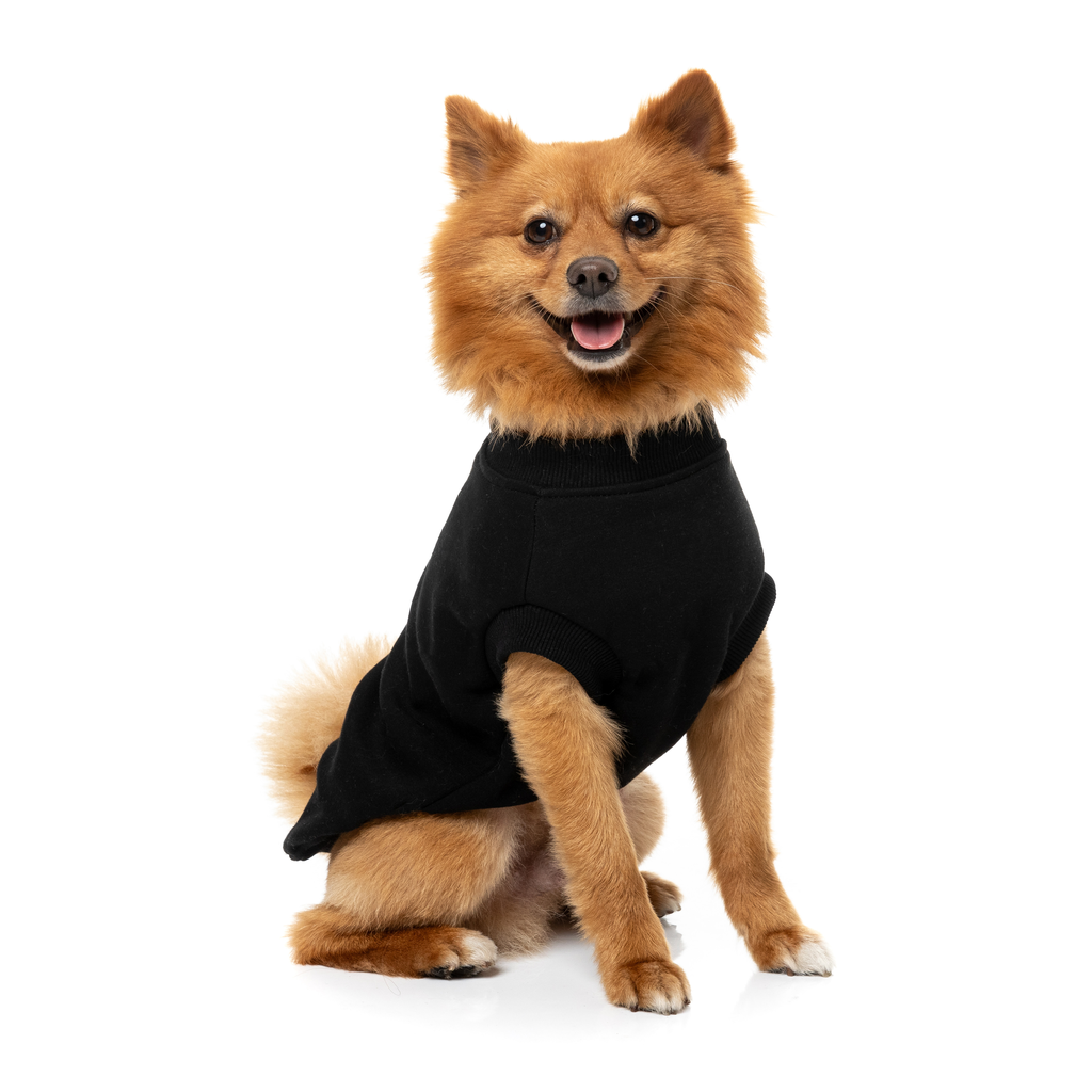 Allday Sweater - Black