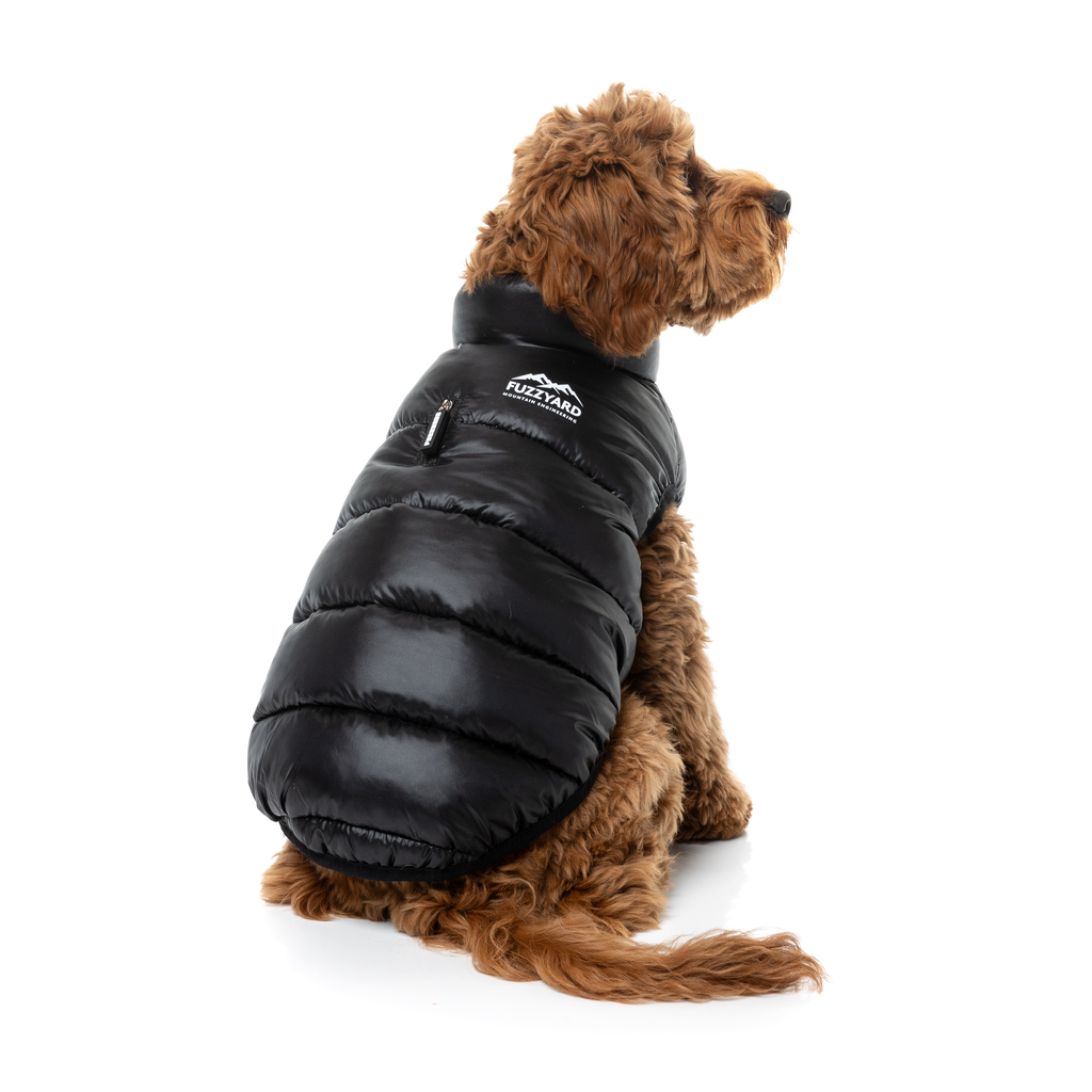 East Harlem Puffer – Schwarz