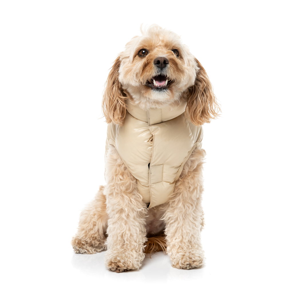 East Harlem Puffer – Tan