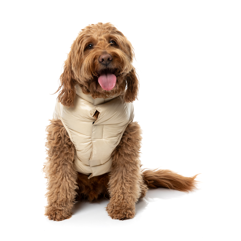 East Harlem Puffer – Tan