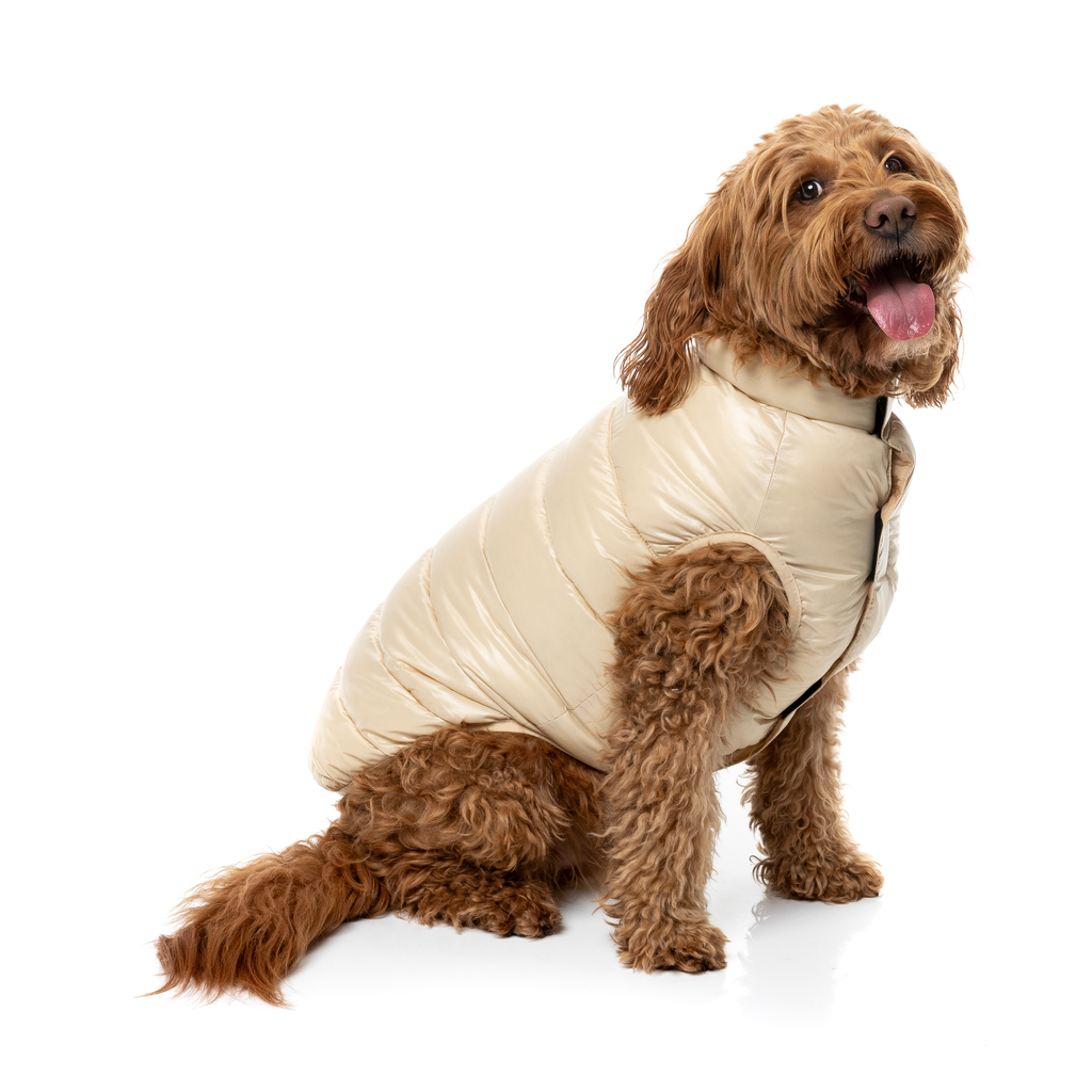East Harlem Puffer – Tan