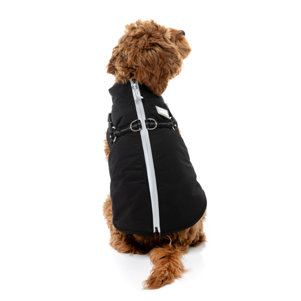 Horizon Jacket - Black