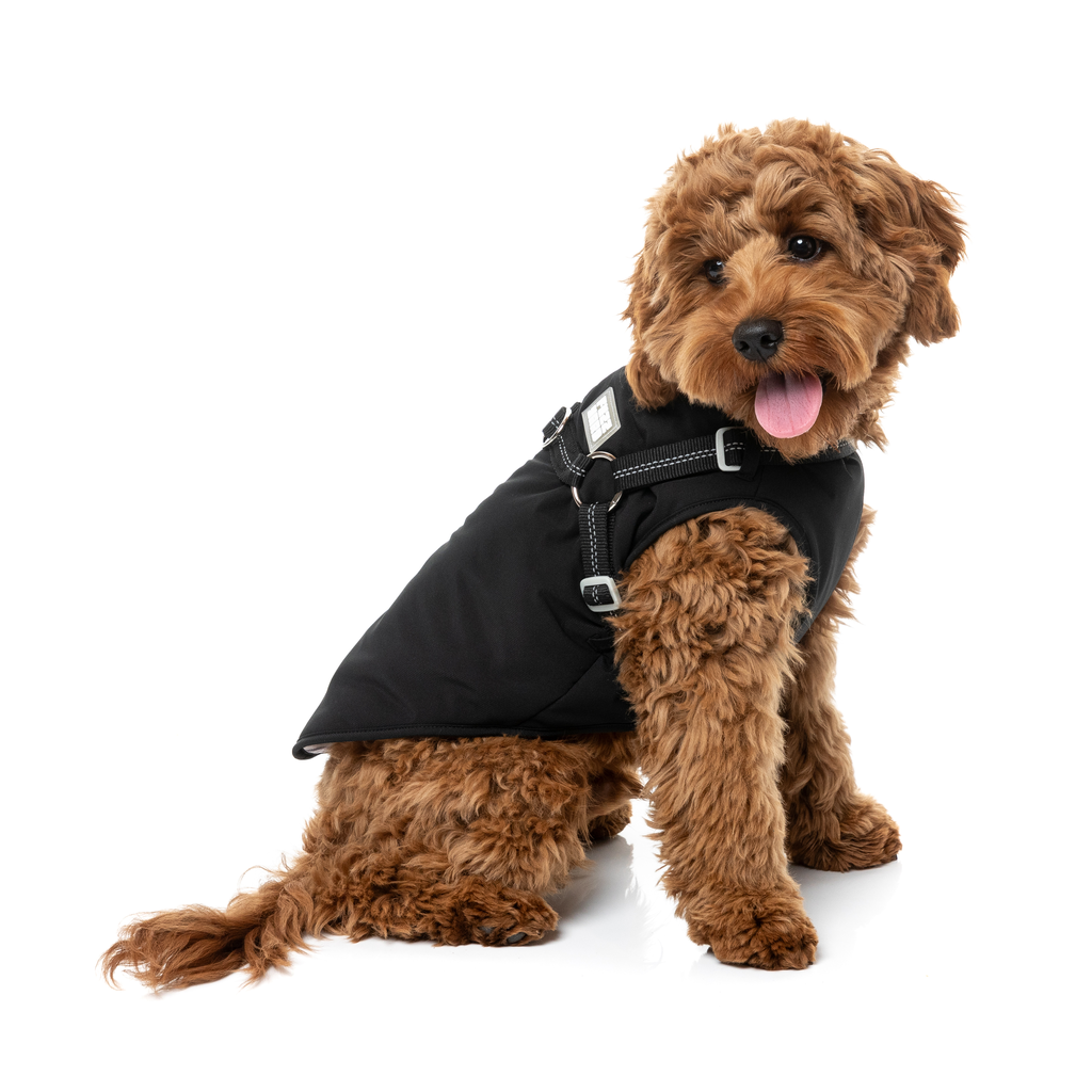 Horizon Jacket - Black
