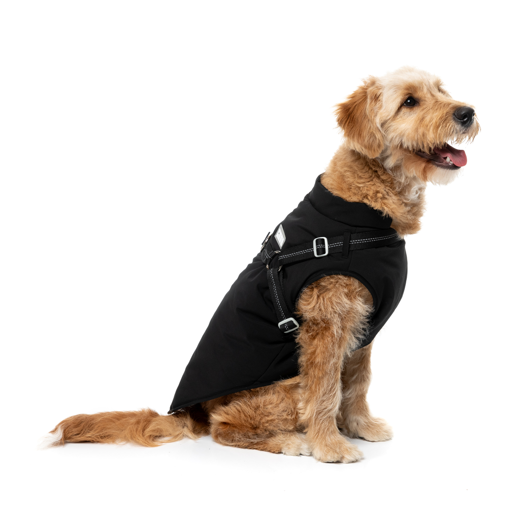 Horizon Jacket - Black