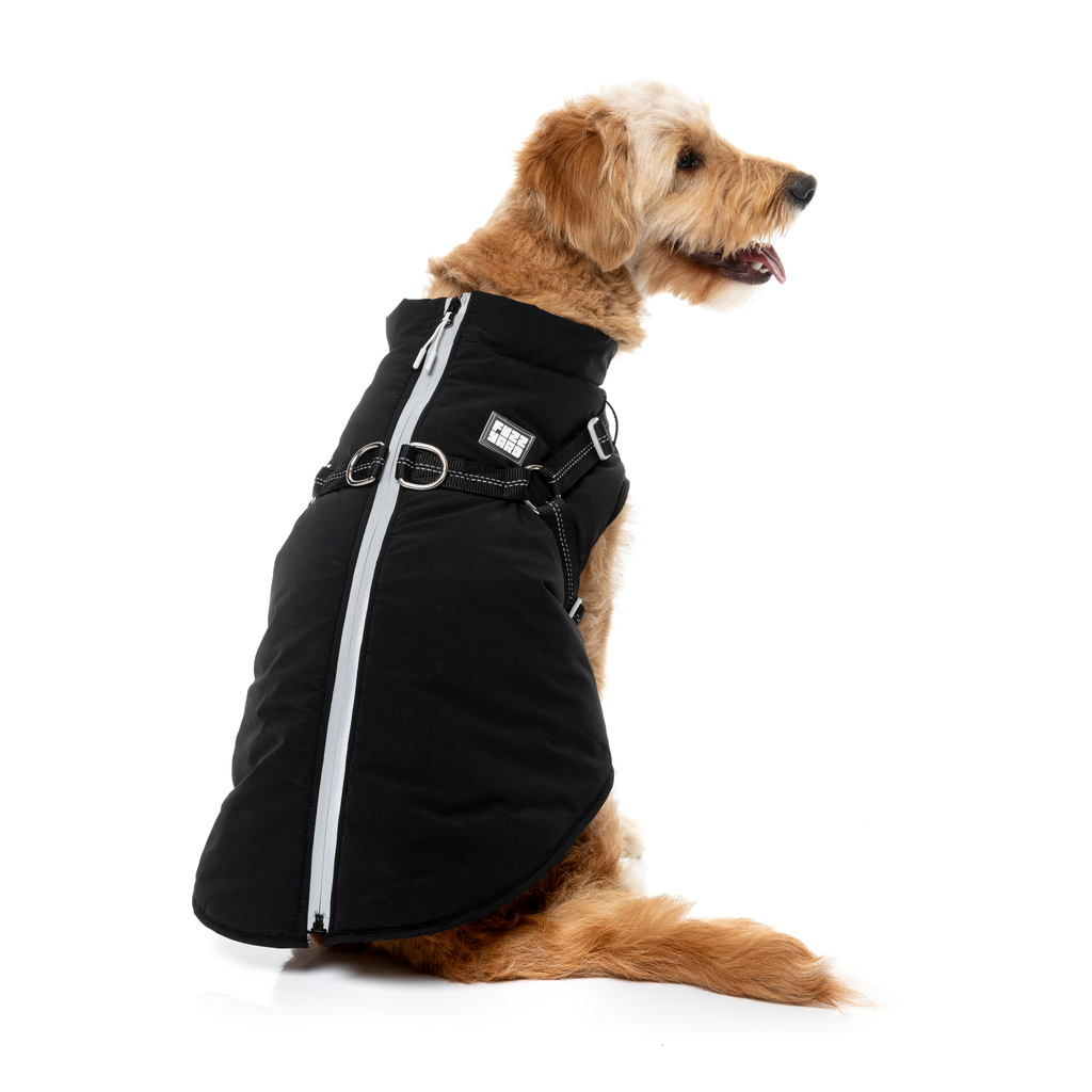 Horizon Jacket - Black