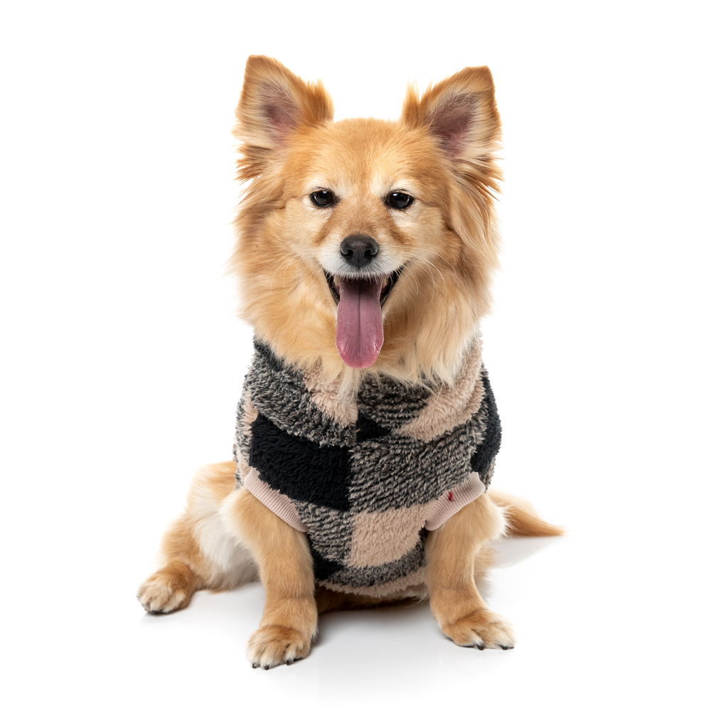 Checkered Teddy Sweater - Black/Beige