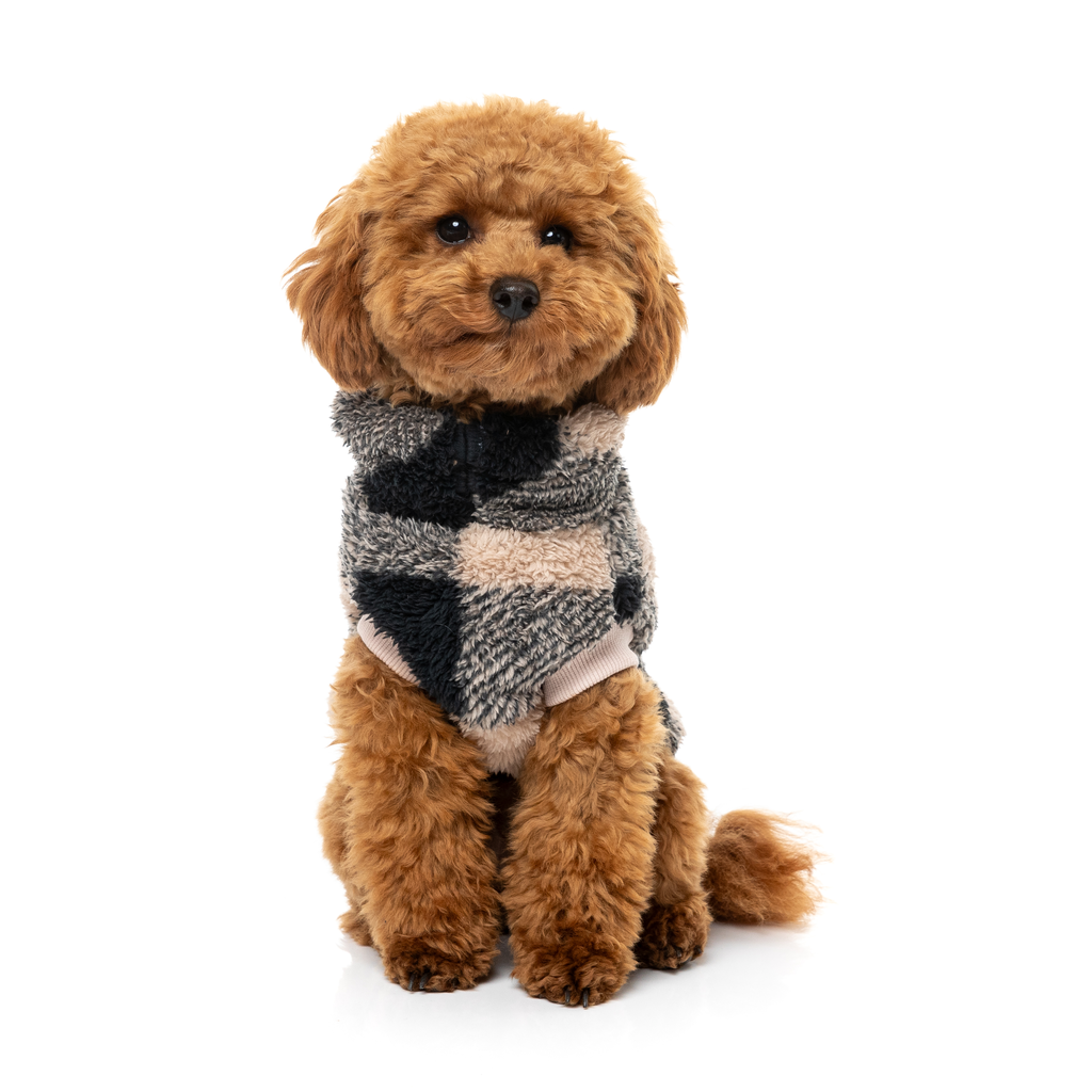 Checkered Teddy Sweater - Black/Beige