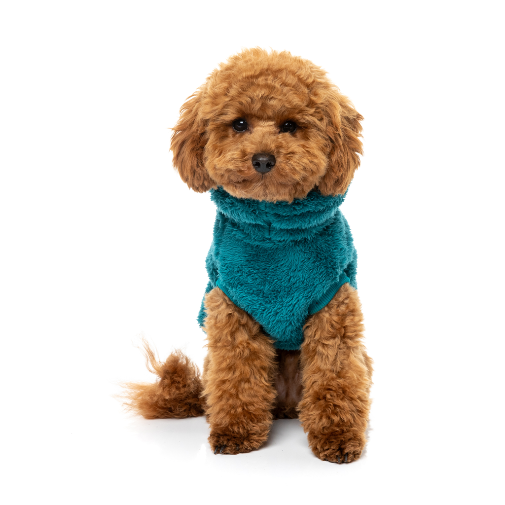Turtle Teddy Sweater - Deep Teal